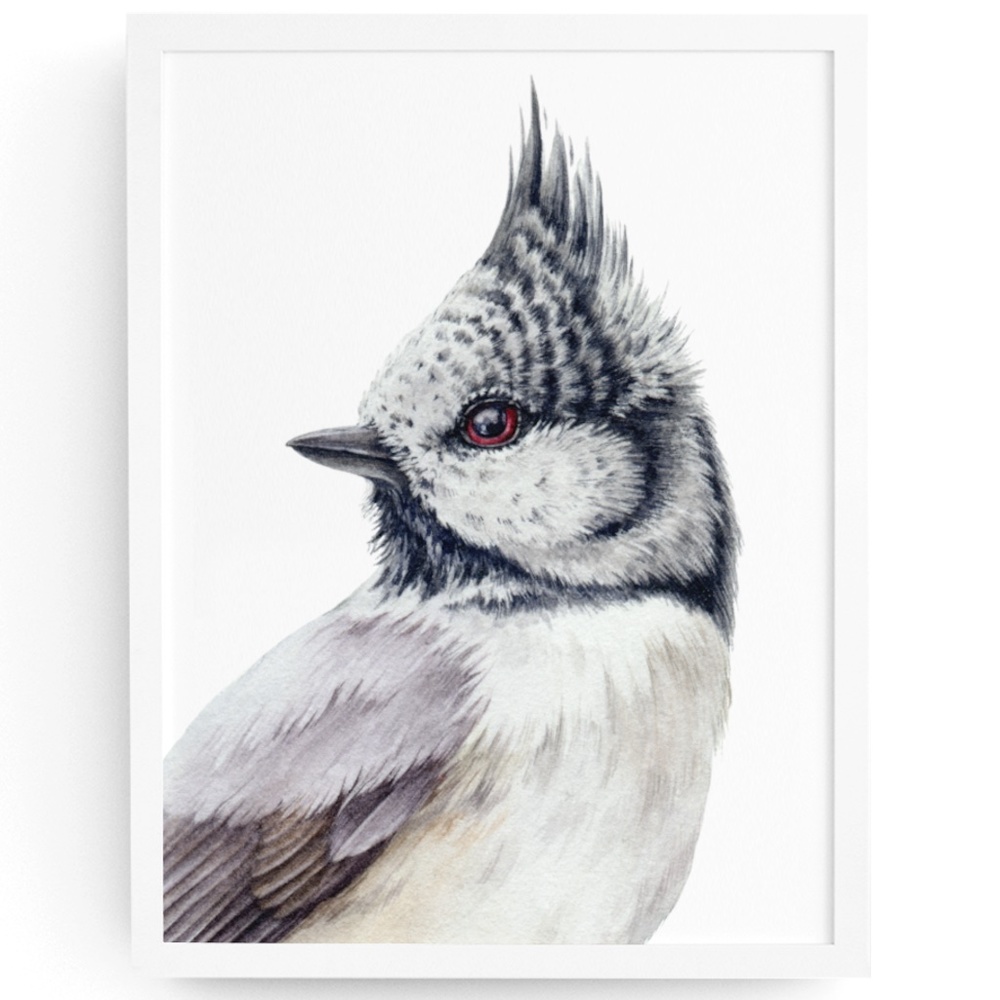 Watercolor Wall Art Crested Tit Bird Print Poster Illustration Unframed